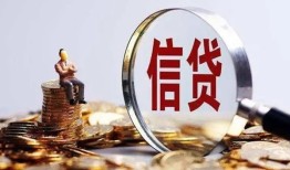 东莞个人个人小额贷款-东莞个人私借户不考察-东莞个人民间借贷无抵押