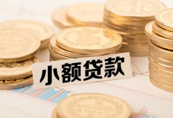 东莞个人身份证贷款平台-东莞个人私人借贷不查征信-东莞个人空放借钱