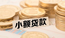 东莞个人身份证贷款平台-东莞个人私人借贷不查征信-东莞个人空放借钱